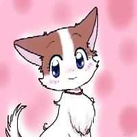 PIC_000117.jpg ( 22 KB ) by yC^[ʏ